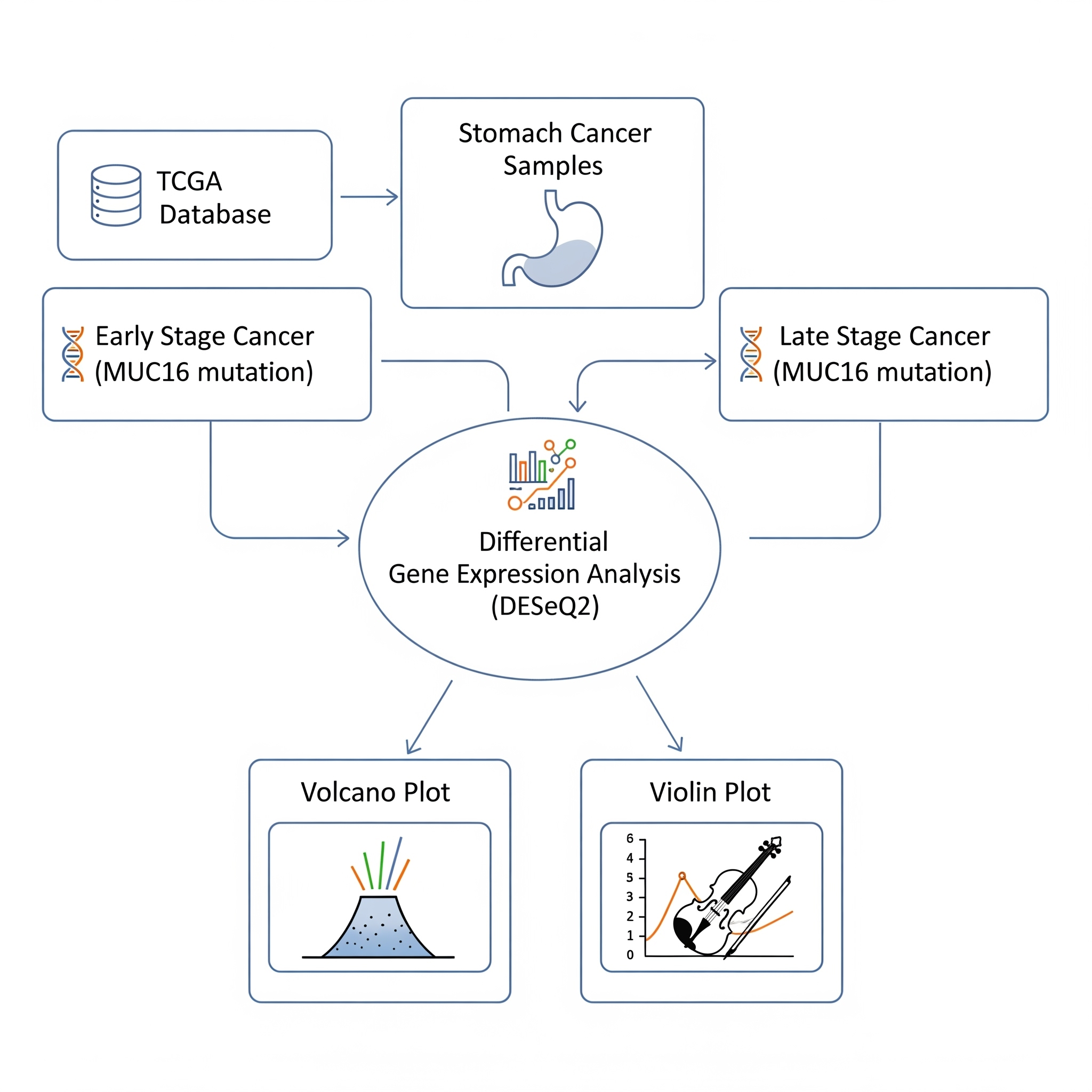RNA‑Seq Gene Expression Analysis preview